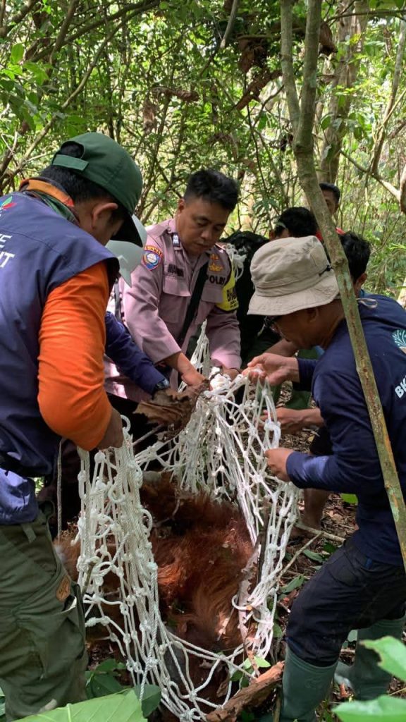 - FB IMG 1761020377866