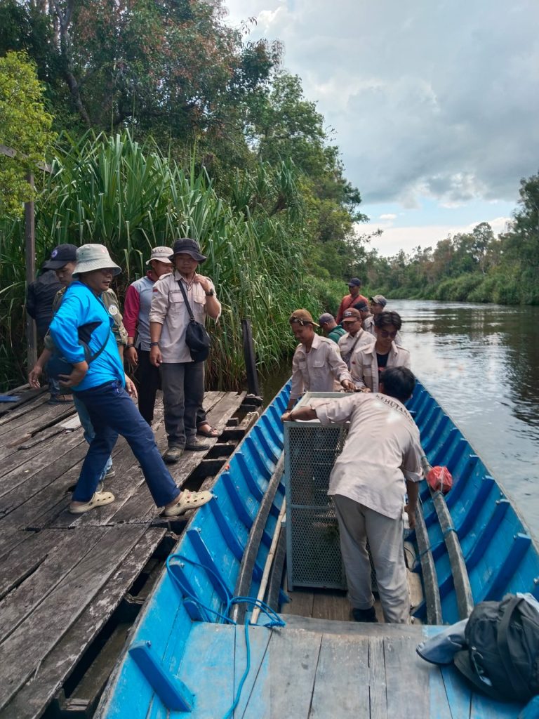 - IMG 20251031 WA0002