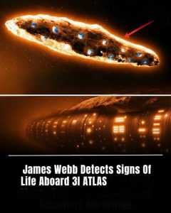 - images 2025 10 30T205319.800